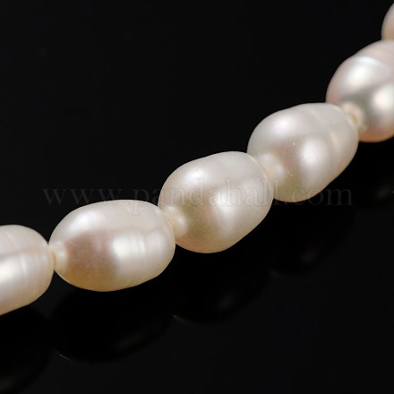 Natural Cultured Freshwater Pearl Oval Beads Strands PEAR-E002-21-1