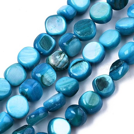 Natural Freshwater Shell Beads Strands SHEL-S276-110A-03-1
