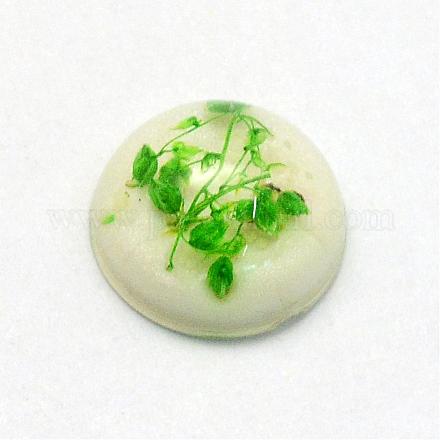 Resin Cabochons RESI-S320-12mm-01-1