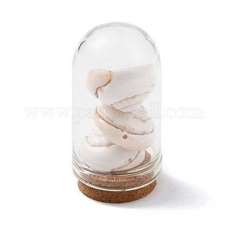 Decoraciones de exhibición de botellas de cúpula de vidrio AJEW-JD00008-02-1