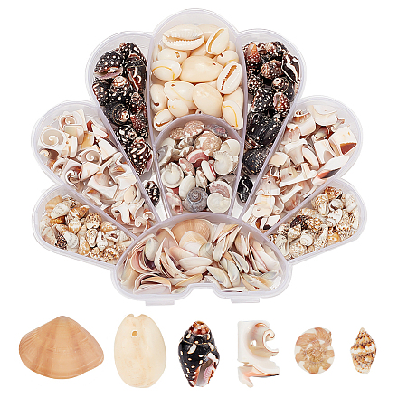 Ph pandahall 370 pièces perles de coquille en spirale naturelle SHEL-PH0001-46-1