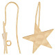 Beebeecraft 20Pcs Brass Star Earring Hooks KK-BBC0004-88-1