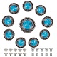 Gorgecraft 10 juego de botones azul turquesa conchos redondos único ojo de metal hebilla decorativa fundición botón trasero con imitación turquesa sintética y tornillo de hierro para accesorios de artículos de cuero diy DIY-GF0006-59-1
