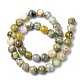 Natural Green Opal Beads Strands G-C029-02B-3