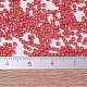 MIYUKI Delica Beads Small SEED-X0054-DBS0856-4
