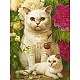 Katze-Diamant-Malerei-Set zum Selbermachen PW-WG28392-03-1