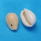 Natürliche Kaurimuschel Perlen BSHE-S055-2