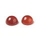 Cabochons en agate rouge naturelle G-G994-J02-01-4