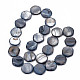 Eau douce naturelle de coquillage perles brins SHEL-S276-159-2