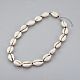Collane di perline conchiglia di ciprea X-NJEW-JN02293-1