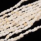 Chapelets de perles de coquillage naturel PBB078Y-3