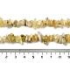 Natürliche gelbe Opal-Chip-Perlenstränge G-G905-15-5
