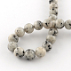 Gefärbte natürliche Sesam Jaspis runde Perlen Stränge G-R342-6mm-15-3
