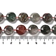 Natural African Bloodstone Beads Strands G-NH0004-040-5