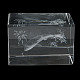 Figurina di vetro animale con incisione laser 3d DJEW-R013-01B-4