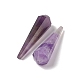 Natürlichen Amethyst Perlen&nbsp;G-L479-46-06-2