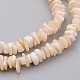 Chapelets de perles en coquillage naturel BSHE-P021-03-3