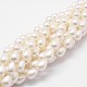 Rainbow Plated Shell Pearl Beads Strands BSHE-L027-01-7x10-1