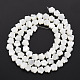Chapelets de perles de coquille de trochid / trochus coquille SSHEL-T014-43A-01-3