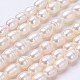 Natural Cultured Freshwater Pearl Beads Strands PEAR-P002-12-1