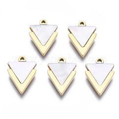 Ciondoli in acciaio inossidabile chirurgico 316, con shell, vero placcato oro 14k, triangolo, colore conchiglia, 11.5x8x1mm, Foro: 1 mm