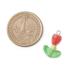 12 pendentif en corail synthétique teinté de 4 couleurs&nbsp;PALLOY-JF04544