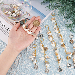 Muschel-Haar-Accessoires&nbsp;OHAR-AB00005