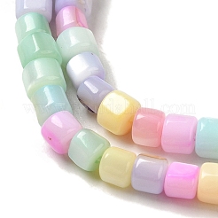 Fili di perline di conchiglia d'acqua dolce naturali tinti di colore arcobaleno&nbsp;X1-SHEL-G018-02D