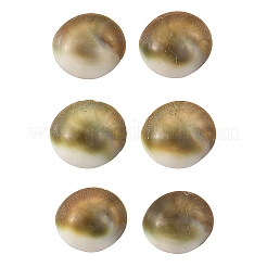 Ohrstecker mit Muschelmotiv&nbsp;EJEW-JE07325