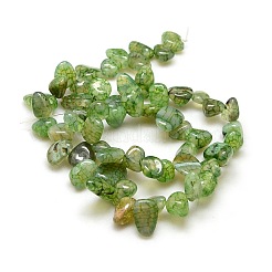 Pépites naturelles brins de perles d'agate craquelées&nbsp;G-P032-M