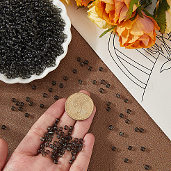 2500 Stück Glasperlen&nbsp;SEED-PA0001-06B