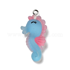 Pendentifs en résine opaque&nbsp;RESI-D055-093P