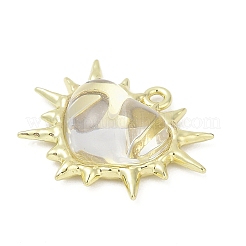 Aluminium Anhänger & Charms&nbsp;PALLOY-R151-10G-04