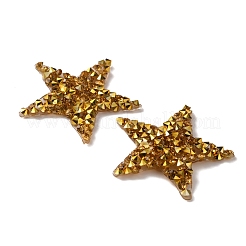 Stern-Hotfix-Strass&nbsp;DIY-WH0188-99C