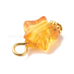 Colgantes de acrílico transparentes&nbsp;PALLOY-JF01834-03