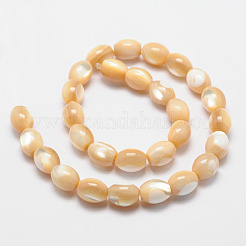 Fili di perle di botte di conchiglia di mare naturale&nbsp;SSHEL-M014-04