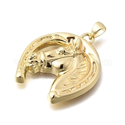 Messing Anhänger & Charms&nbsp;KK-C255-05A-G