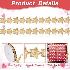 Ruban polyester étoile 20 yards&nbsp;OCOR-WH0078-247A