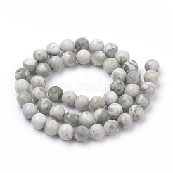 Natürliche Frieden Jade Perlen Stränge&nbsp;G-S259-25-10mm