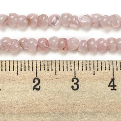 Hebras de cuentas teñidas de concha blanca natural&nbsp;BSHE-Z005-03D