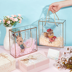 Caja de regalo de plástico PET transparente&nbsp;AJEW-WH0166-06A-02