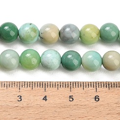 Musgo natural cuentas de ágata hebras&nbsp;GG-CBA007A-B03-8mm