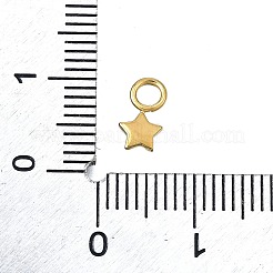 Anhänger aus 304 Edelstahl&nbsp;STAS-H233-14G