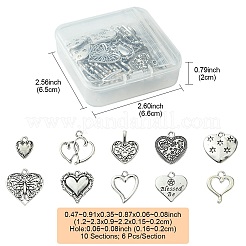 60 pièces 10 styles pendentifs en alliage de style tibétain&nbsp;FIND-FS0002-20