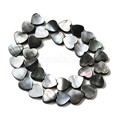 Natur schwarz Lippe Shell Perlen Stränge&nbsp;BSHE-D300-06A