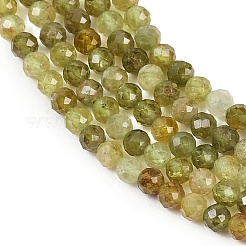 Naturelles grenat vert brins de perles&nbsp;G-B181-A01-3mm