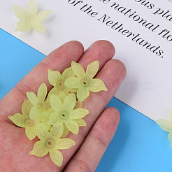 Perles en acrylique transparente&nbsp;MACR-S373-127-D06