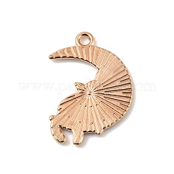Pendentifs d'émail en alliage&nbsp;ENAM-E009-01KCG-06