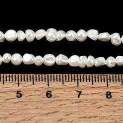Perles de perles de coquille galvanoplastie&nbsp;BSHE-B008-06A