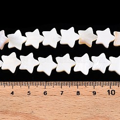 Naturali di acqua dolce perline shell fili&nbsp;SHEL-WH0009-05